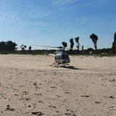 Pilot Gallery pic 60